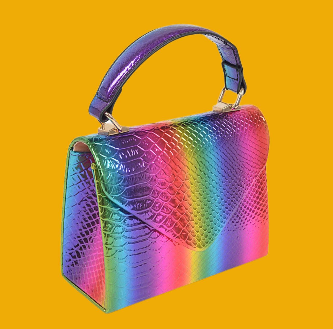 Rainbow Hologram Clutch