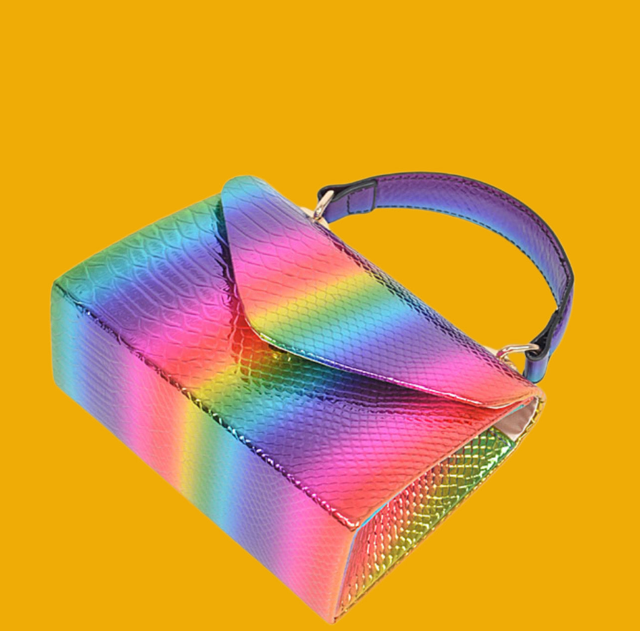 Rainbow Hologram Clutch